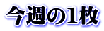 今週の１枚